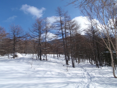 P2050001.jpg