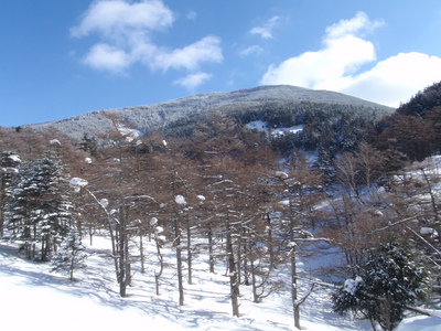 P2050004.jpg