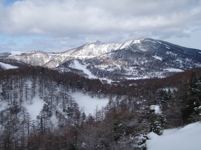 P2050007.jpg