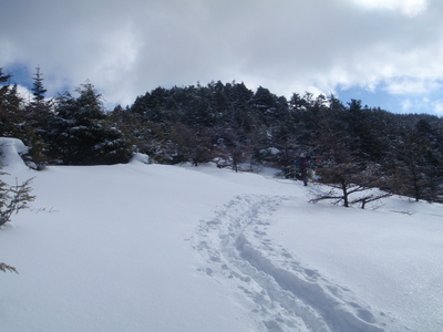 P2050010.jpg