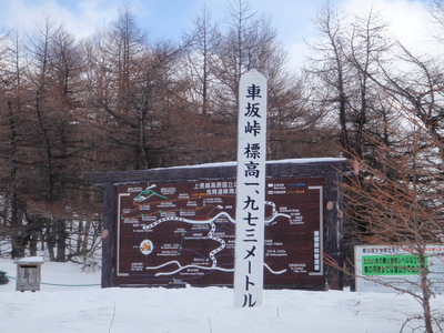P2050073.jpg