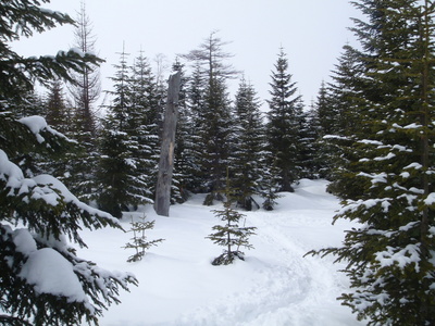 P3280061.jpg