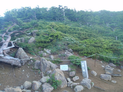 P7180055.jpg