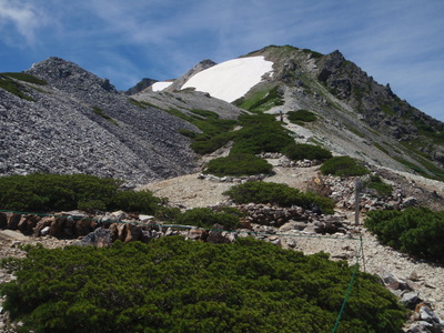 P7180157.jpg