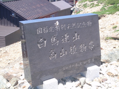 P7180200.jpg