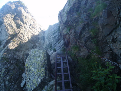 P7190120.jpg